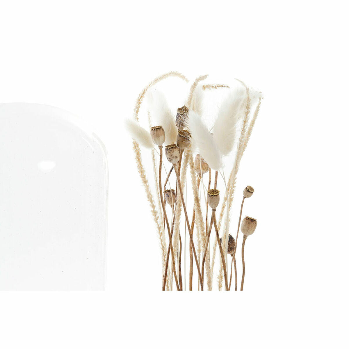 V10HE5DF3886CE91519E7EE669E6A210E5C4R4984850P3