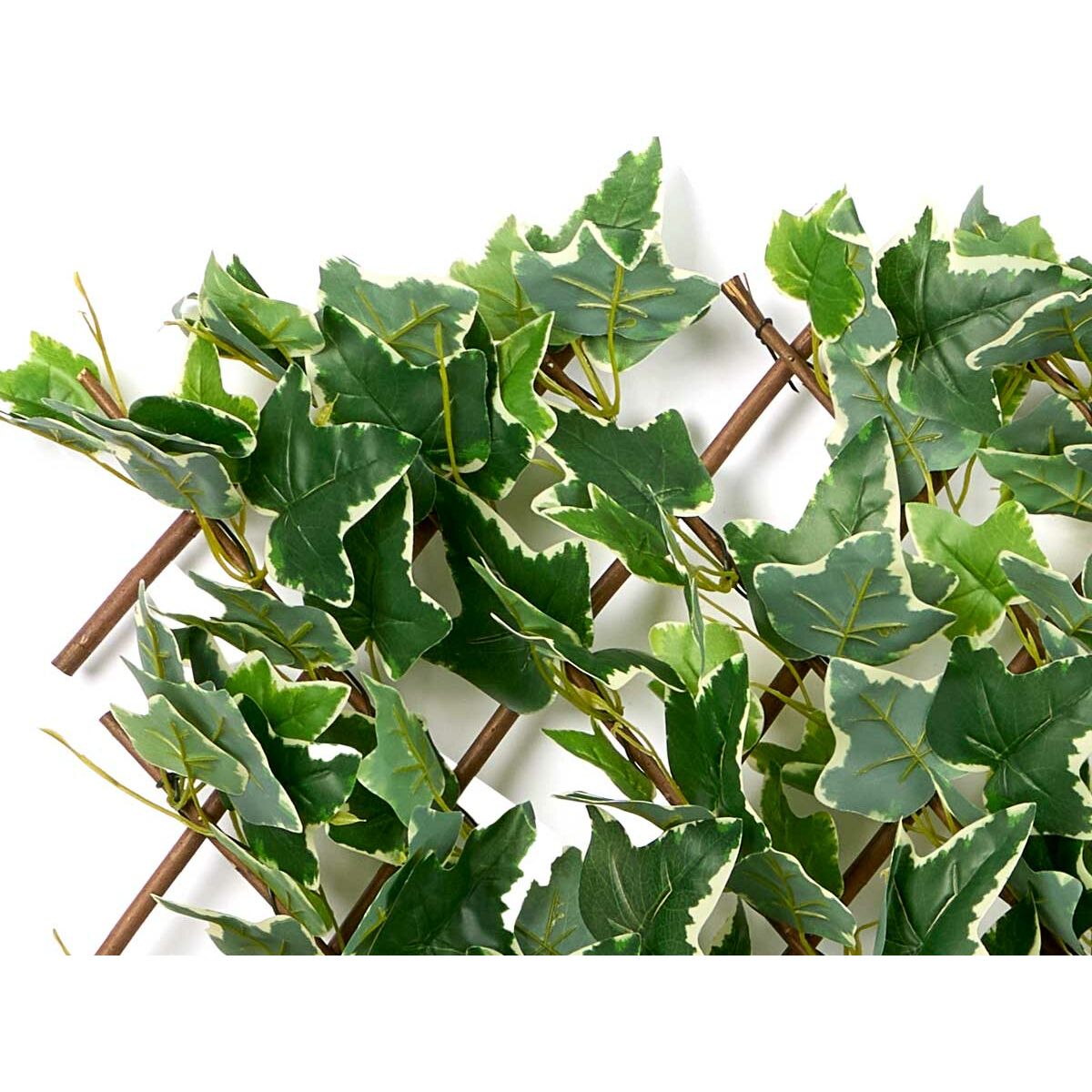 V7H345EF7F0FFEAFA951AE928B8DA320742R7127603P5