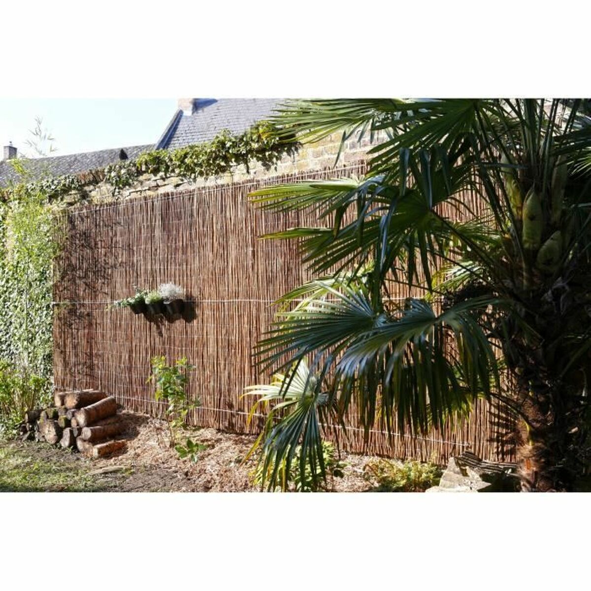 V3H9AA53280D75D49E4B4594B1F4D259904R5781083P2