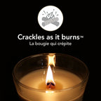 V3HCE4E3EF16ADEDF3D174B7E5007407FBDR5576841P2