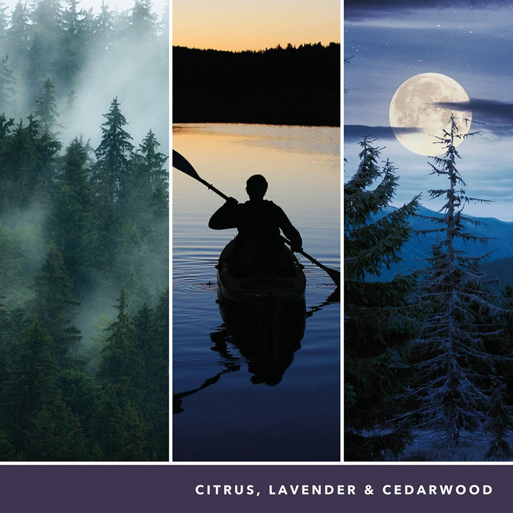 V3HE96DDD22F5BE123E4E1412749729BC9AR5778113P6