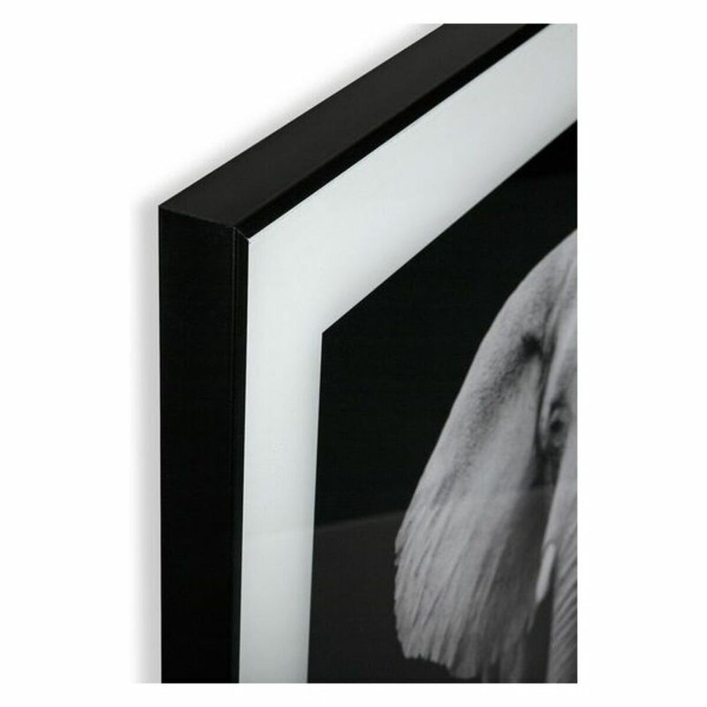 V12H4D6700F091F50AE12F1E8A62EA44ECBER6372418P5