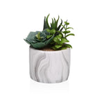 V2H9F4B8FA685EB9D423E852DDDD9010092R6831695P1