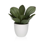 V2HD9D96B42BB707BA530C70AA20D75D112R6831690P1