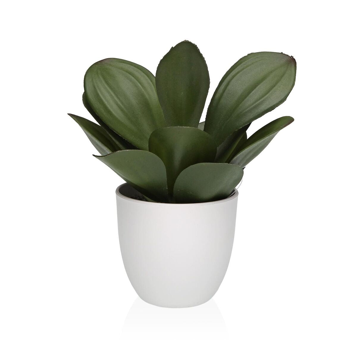 V2HD9D96B42BB707BA530C70AA20D75D112R6831690P1