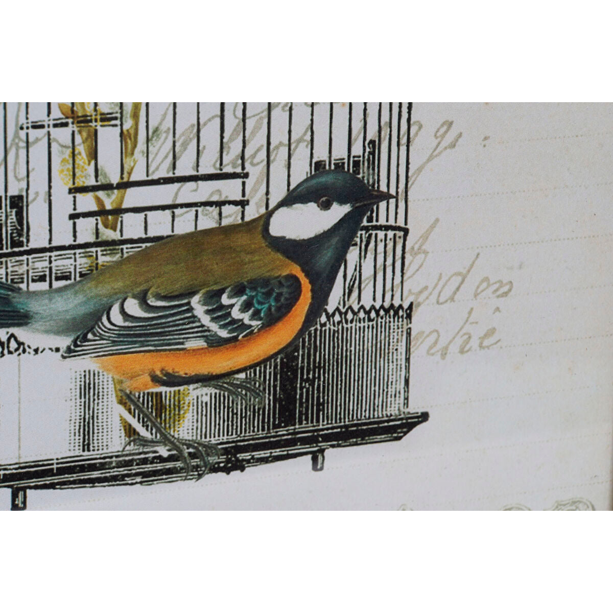 V14H5AEB149C4F18C036A55B35DE5E28E482R6585712P2