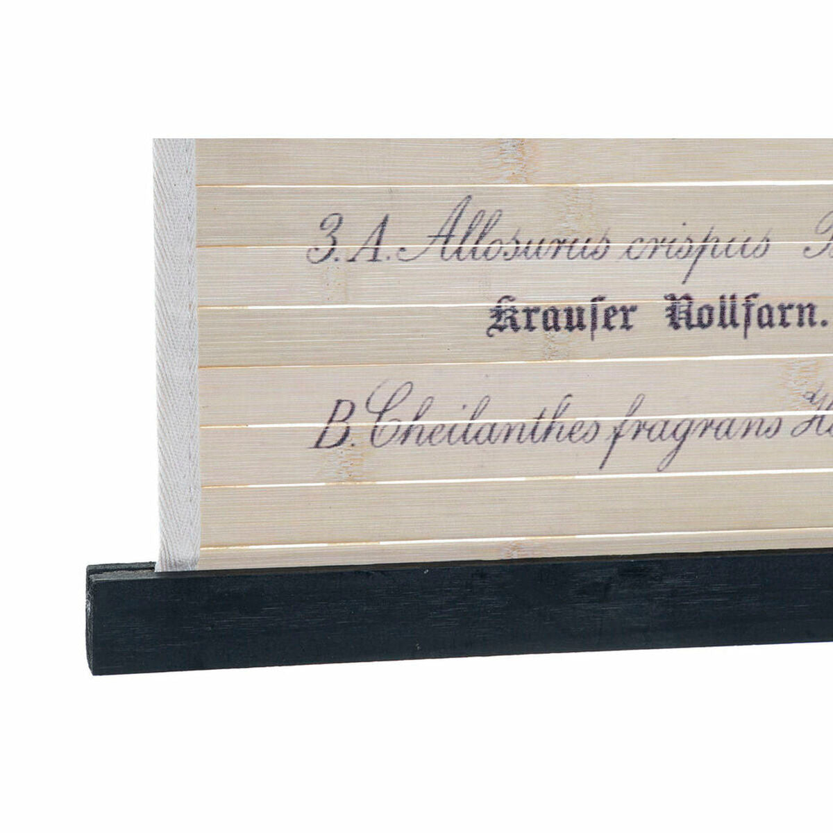 V12H6779366FD5744BFA0CACF07F4564C29CR6372191P2