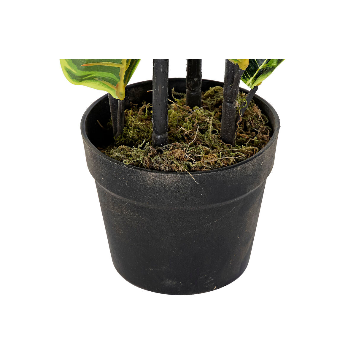 V10H685AFB94E3269EF830535F372F3575B3R6374922P2