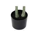 V11H821F8E721DA6464DBCD7708EE44B9371R6374614P3