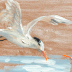 V10HDC4BC9962E0C415D046B68E489E855AER6440862P3