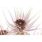 V9HE67FF705CD0F8BF0CF8C8C2EB173A2F0R5661371P4