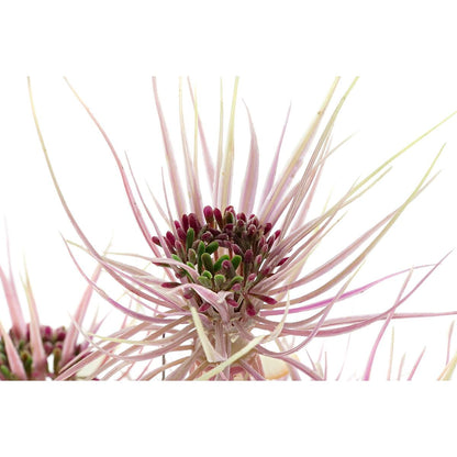 V9HE67FF705CD0F8BF0CF8C8C2EB173A2F0R5661371P4