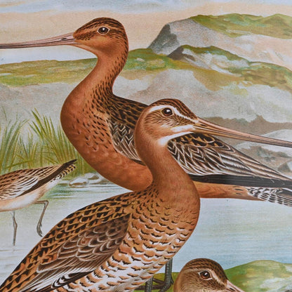 V7HC8A5FC5F3D2B0E6254070CD040FF5566R6372577P3