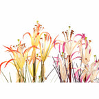 V9HECEFC08C45A7128CB252F24043AD3A5CR6377939P2