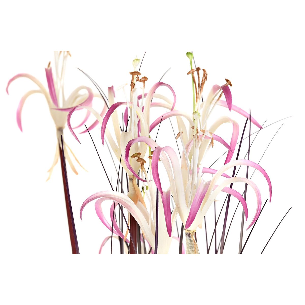 V9H57E88A820ED12C89EBA25DBB0944C4A1R4985915P3