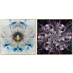 V8H6BF53ECE32006A62AFF26374EF48E895R6373694P1