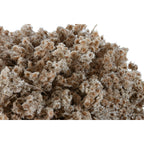 V4HF531E843DE66D958AC479A802C19BFCER4456792P2