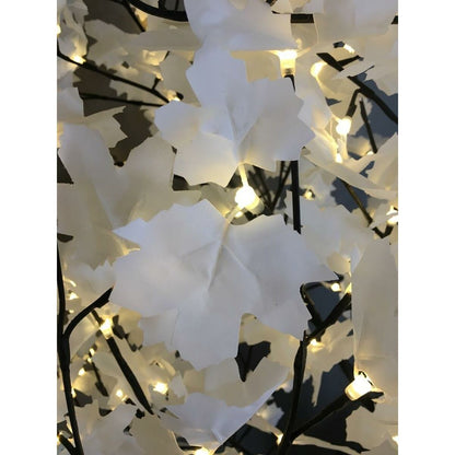 V5H1B73DFD5635875A030E709B04B7B8EA6R7104768P3