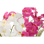 V4H78BDAF2C36F74C4855307B7DC032510AR5345419P2