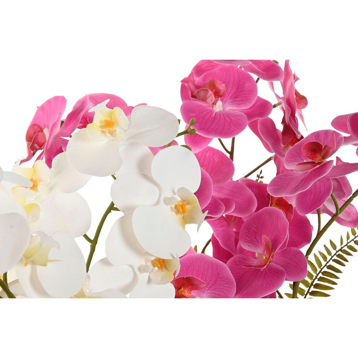 V4H78BDAF2C36F74C4855307B7DC032510AR5345419P2