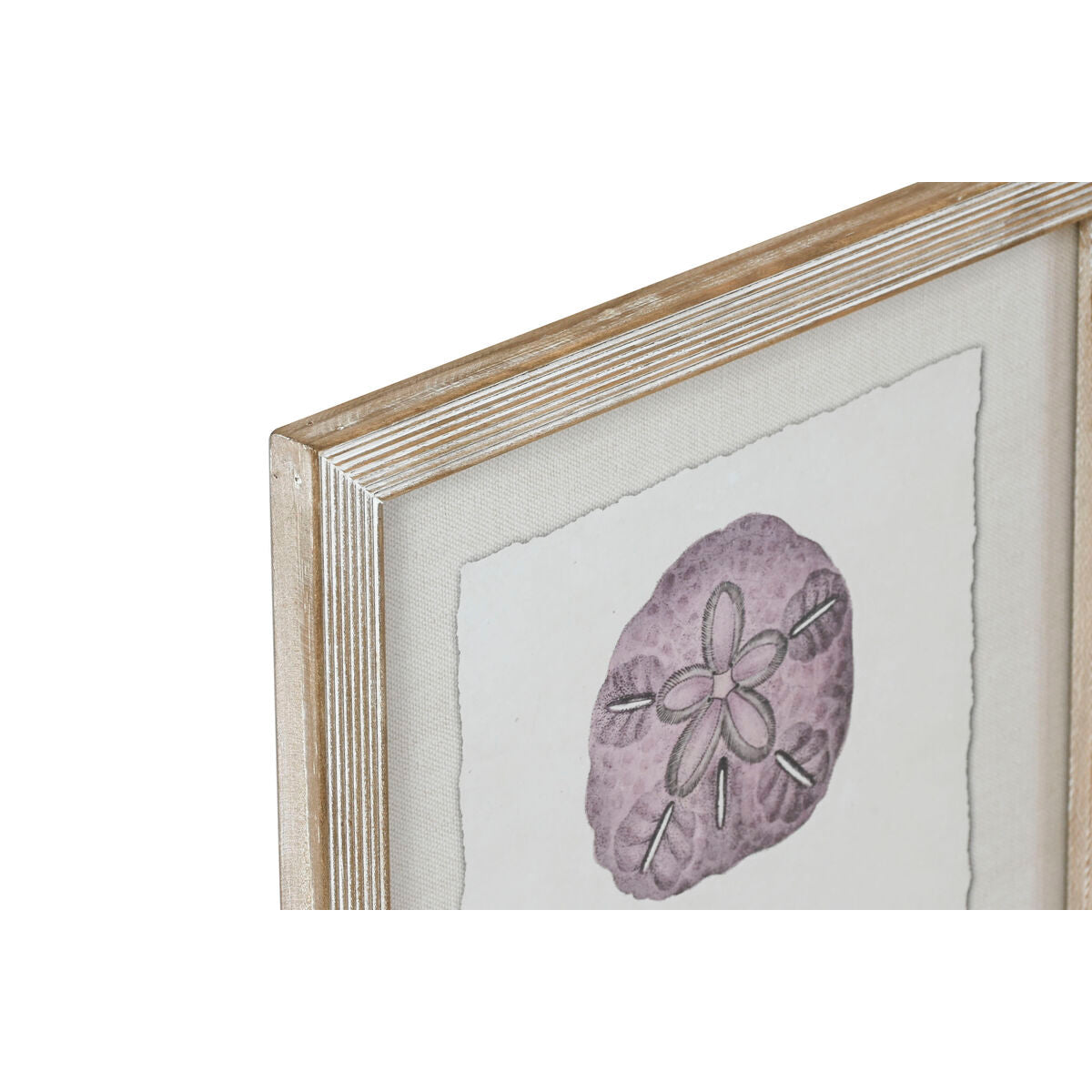 V7H5692630D8F0D9BF0B2E86F79007C859CR6372716P2