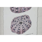 V7HA5A2DE41A908F0F47F1CB6FD8FB62C65R6372717P3