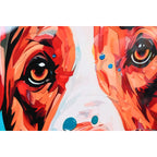 V5H79AF29CC3DD085DAA82E5E5DC95ACE11R6373681P3