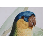 V5HA13038665AF6EDF65E3D523103127A8AR6372216P3