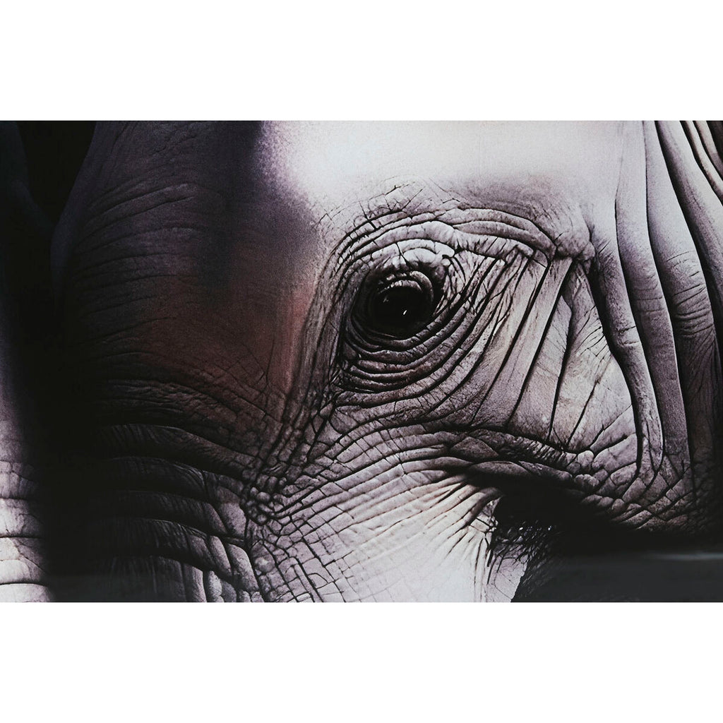 V5HD8455B5CD53F2D13102131529DB5AE99R6373147P3