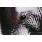 V5HD8455B5CD53F2D13102131529DB5AE99R6373147P3