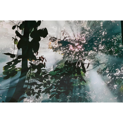 V5H38922A19197D65414A190C39945253EFR6373192P3