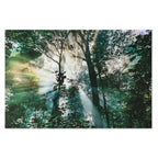 V5HBD14B40FBA0F91980D1ED2F4D3A49DC5R6373186P1