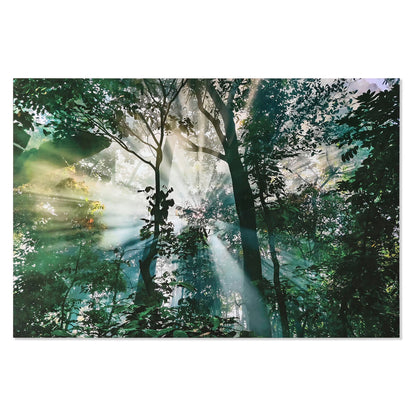 V5HBD14B40FBA0F91980D1ED2F4D3A49DC5R6373186P1