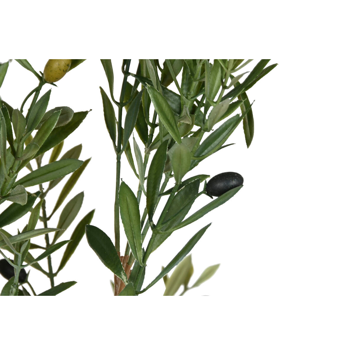 V3H9A2F9DAEDD389741D579BD8745ABF3B3R5953538P2