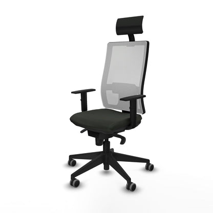 V3HA7B73497253294E73447E1978B722C2ER6081347P2