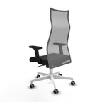 V3H512DEA4CD8F6D396C7CDCF9EF29CD52ER5972094P4