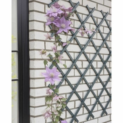 V4H7372B562260423D85B73259BF58921D6R6684770P2