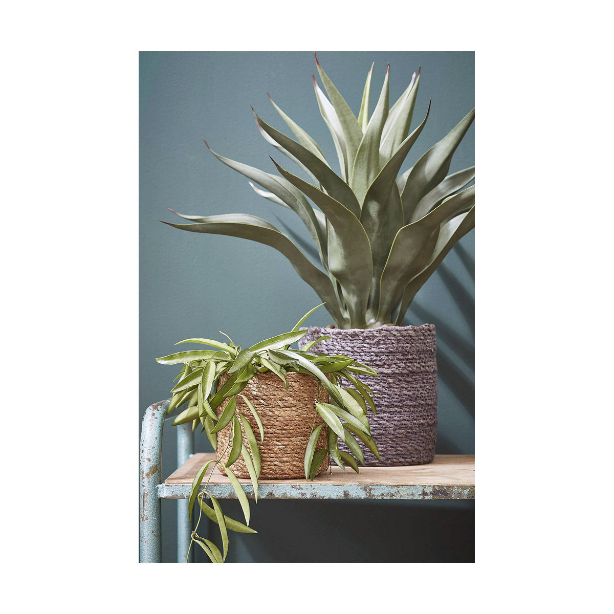 V7H8EDDC1136F217CC1E6367A7E64493039R2068244P5