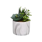 V2HBFD42975F2D0636820760334BF19B590R6831698P2