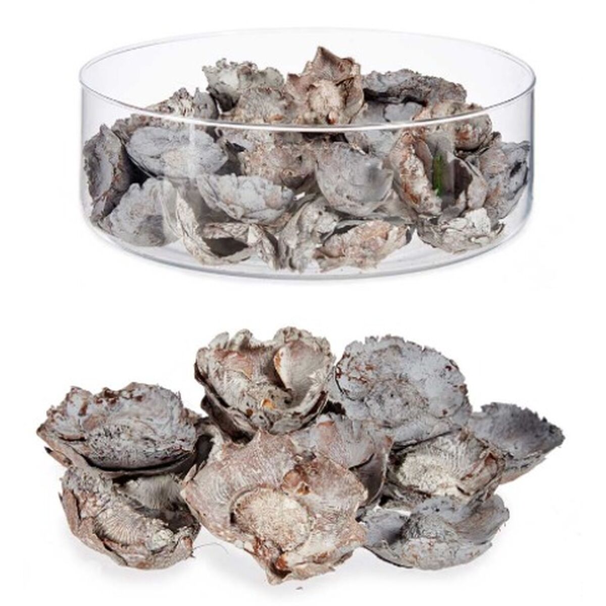 V9H261D595173E1D276AE56AE52882CADD8R7172180P2