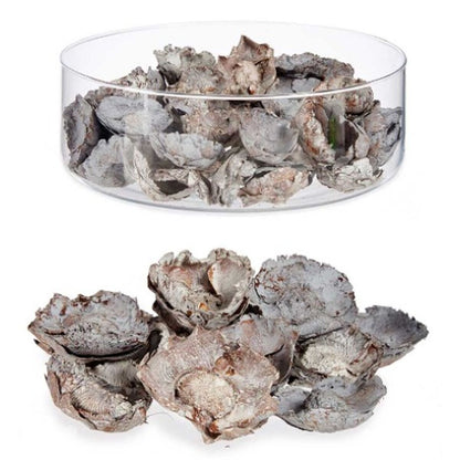 V9H261D595173E1D276AE56AE52882CADD8R7172180P2