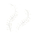 V4H702580C352301DB3669F55DA114DCBA5R5014433P1